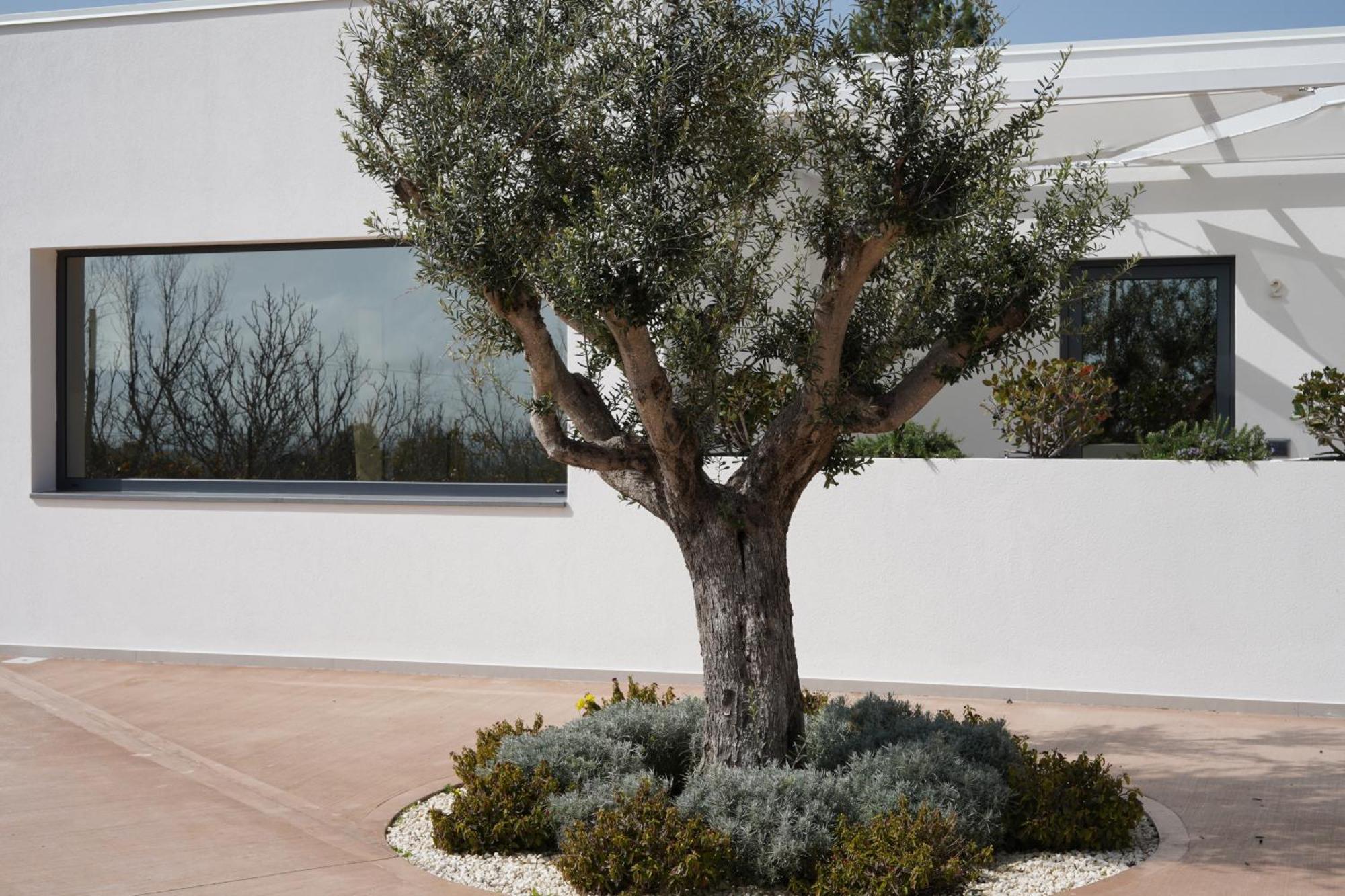 Tenuta San Marco Noto Dış mekan fotoğraf