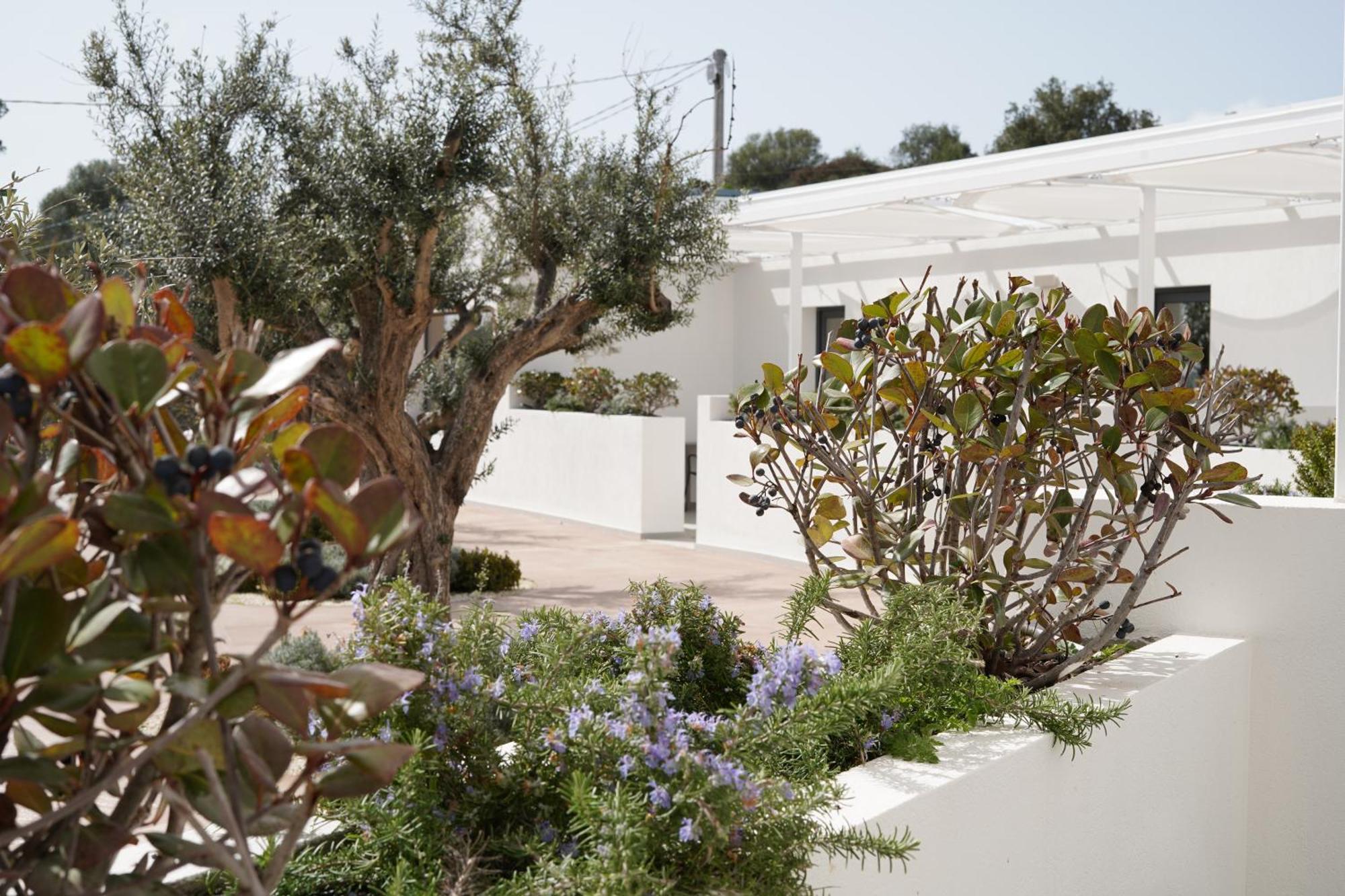 Tenuta San Marco Noto Dış mekan fotoğraf